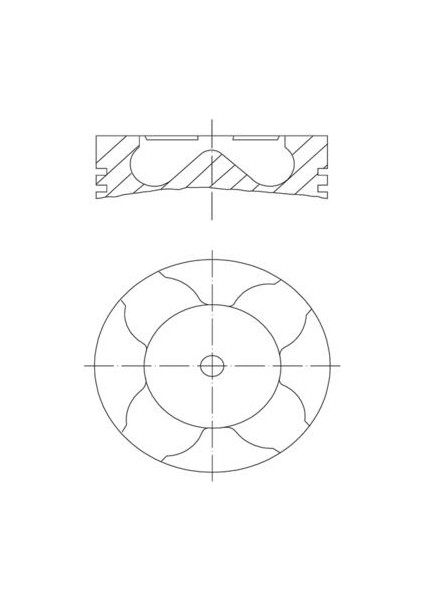 x Motor Piston Segman Std P206-P307-C3-FIESTA 1.4 Hdı-Tdcı Dw4 16V 73.70