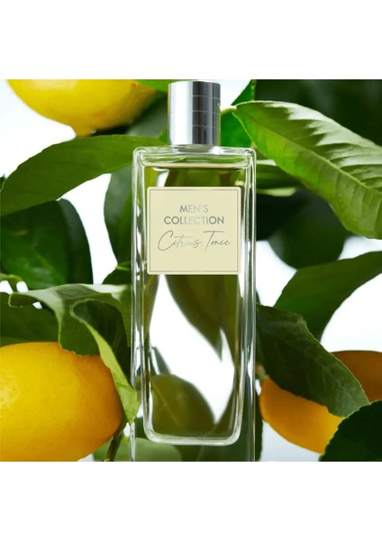 Men's Collection Citrus Tonic Erkek Parfüm - Edt - 75 ml - 30058 modelleri
