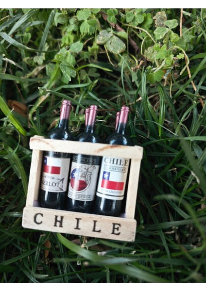 Magnet Buzdolabı Süsü 4 Adet Set modelleri