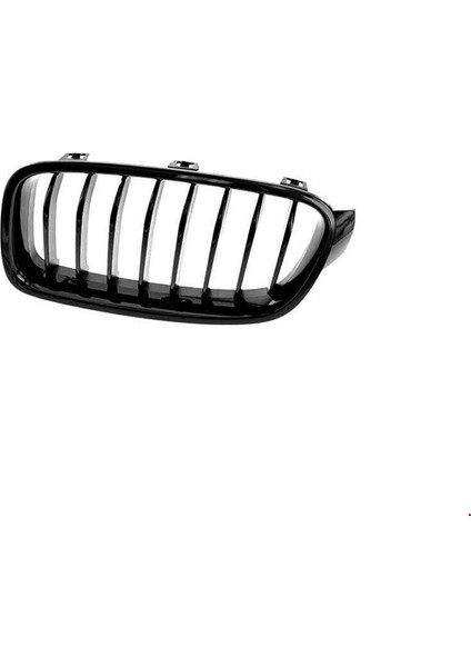 Ön Panjur (Mat Izgaralı) Sol F30 2012-