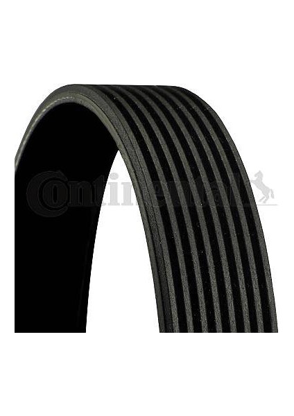 Kanallı V Kayısı Dıscovery 3 L319 Dıscovery 4 L319 Range Rover Sport I L320 8PK2092