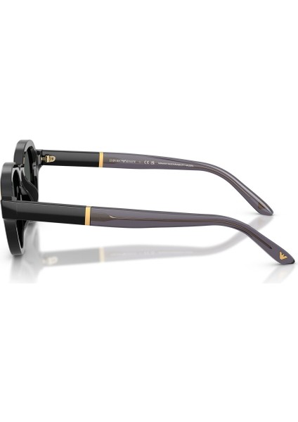 Emporıo Armanı 4264U 501787 47-20 Güneş Gözlüğü fiyatları