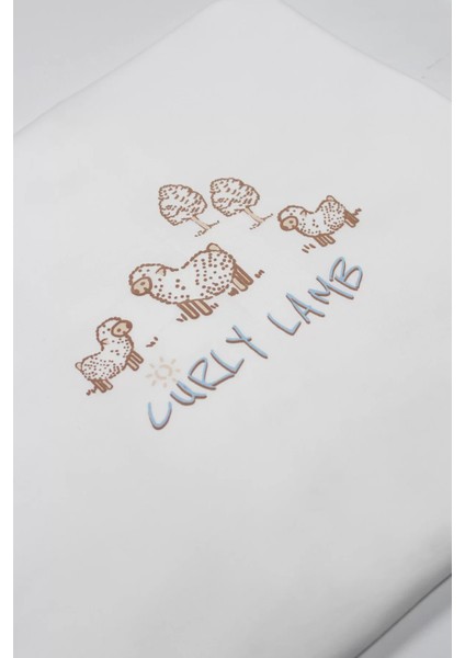 Bistyle Curly Lamb 10'lu Hastane Çıkışı 11106 Bej Mavi Ekru modelleri