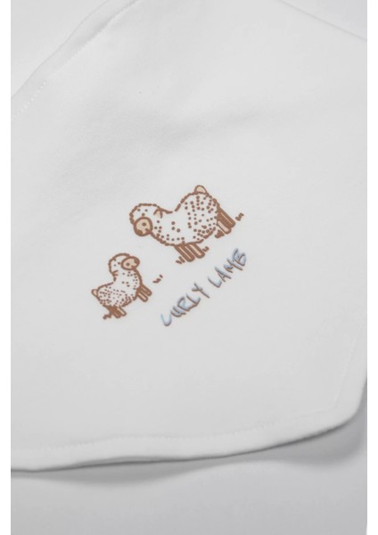 Bistyle Curly Lamb 10'lu Hastane Çıkışı 11106 Bej Mavi Ekru fırsatları