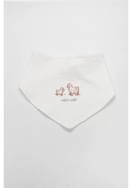 Bistyle Curly Lamb 10'lu Hastane Çıkışı 11106 Bej Mavi Ekru indirimleri