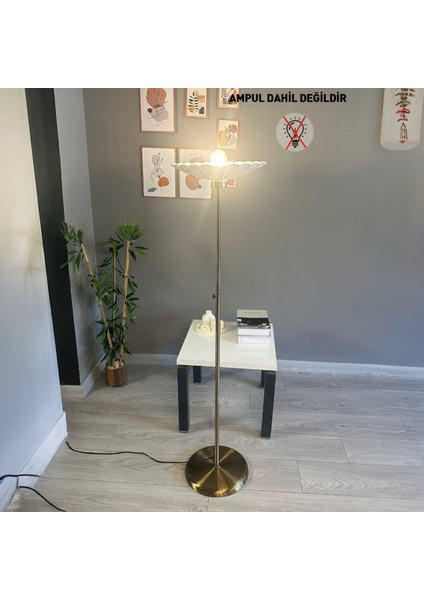 Beyaz Lambader Modern Dekoratif Metal Oturma Odası Çalışma Odası indirimleri
