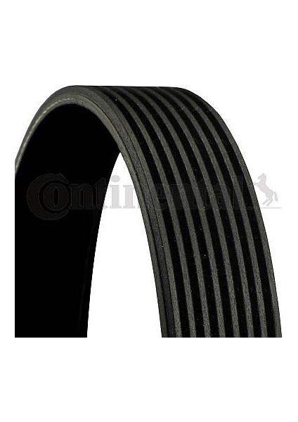 8PK1545 Multi V-Belt