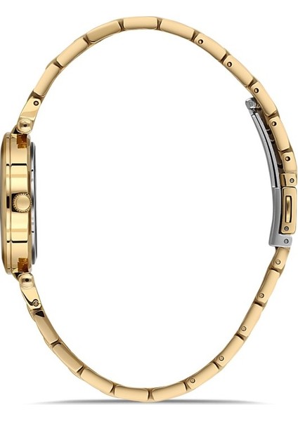 DK.1.AG1399.05 Taşlı Tasarım Sedef Kadranlı Çelik Kordon Çelik Kasa 5 Atm Suya Dayanıklı Altın Renk Kadın Kol Saati fiyatları