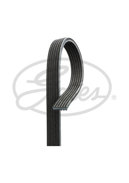 Kanallı Kayıs Mercedes Ford Ssangyong Opel Saab Suzukı