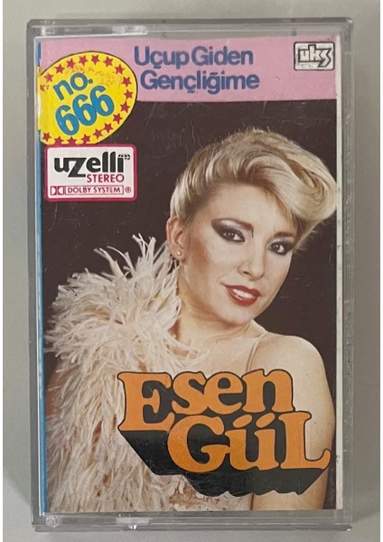Esengül Uçup Giden Gençliğime Kaset (Orijinal Dönem Uzelli Baskı Kaset)