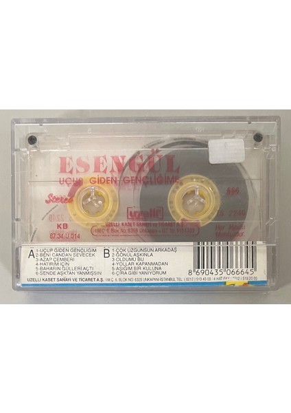 Esengül Uçup Giden Gençliğime Kaset (Orijinal Dönem Uzelli Baskı Kaset) fiyatları