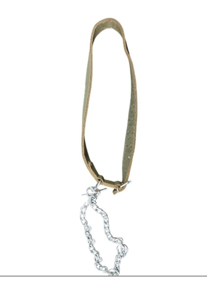 Zincirli Cift Katli 6mm Burgulu Dana Tasması