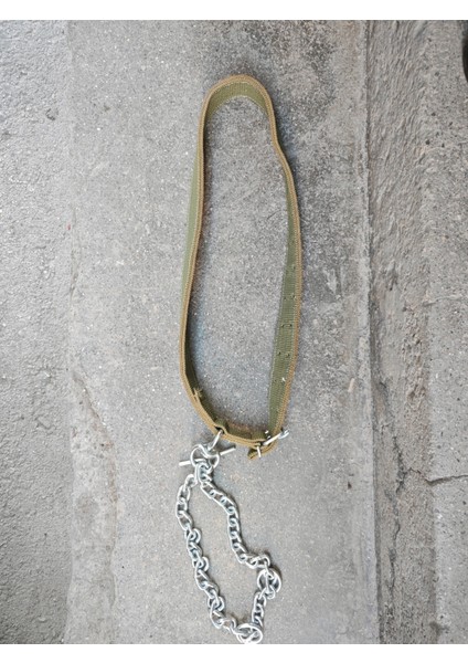 Zincirli Cift Katli 6mm Burgulu Dana Tasması modelleri