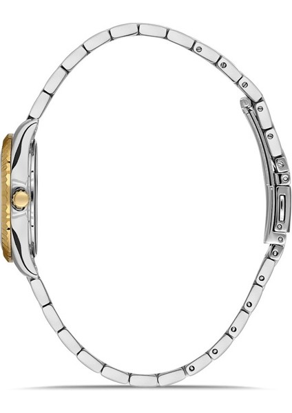 DK.1.AG1402.03 Çelik Kordon Çelik Kasa 5 Atm Suya Dayanıklı Metalik-Altın Renk Kadın Kol Saati fiyatları