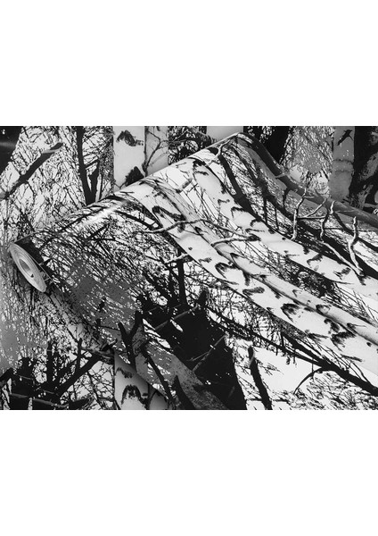 143-1007 Dekoratif Kavak Ağaç Görünümlü Yapışkanlı Folyo ( 45 cm x 1,5 mt ) modelleri