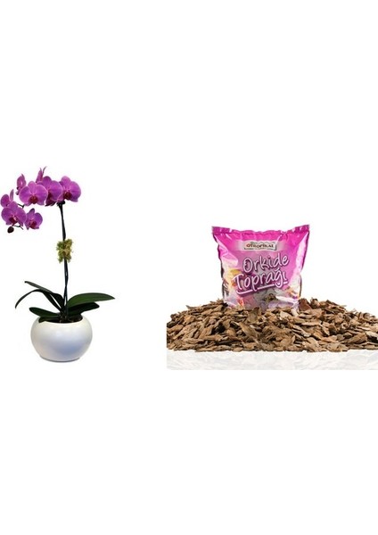 ORKİDE TOPRAĞI VİTAMİNLİ ÖZEL KARIŞIM 6 LİTRE indirimleri