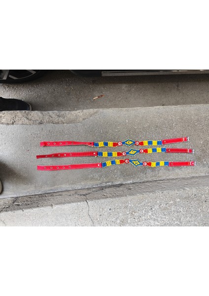 Büyükbaş Hayvan Süsü Boyunluk Kayışlı Tokalı 1 Metre 10 Adet fiyatları