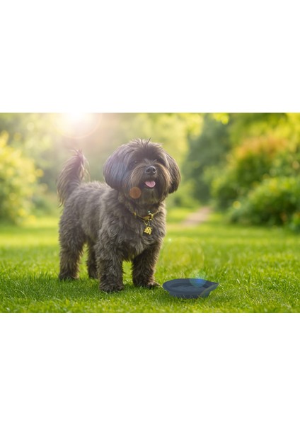 Katlanabilir Silikon Evcil Hayvan Mama/su Kabı - Deep Blue fiyatları