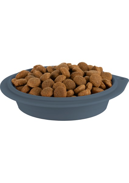 Katlanabilir Silikon Evcil Hayvan Mama/su Kabı - Deep Blue fırsatları