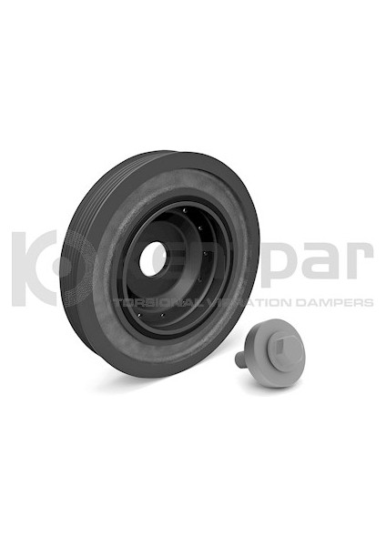 Krank Kasnağı Kit Renault Clıo Iı-Kangoo-Megane Iı 1.4-1.5-1.6 Dcı 16V 1 Adet Özel Pullu Cıvata