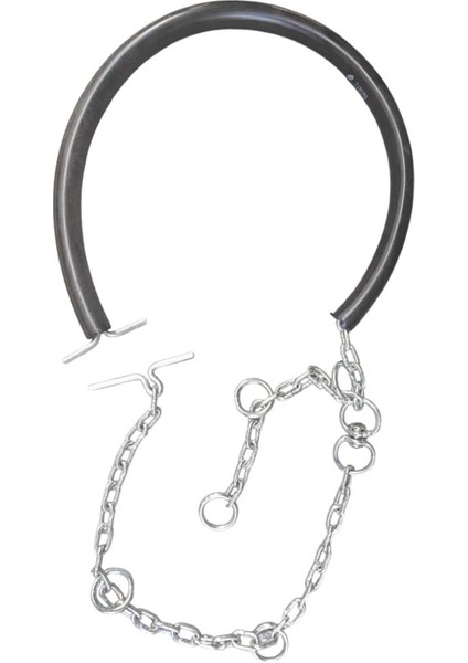 Hortumlu Büyükbaş Hayvan Zinciri