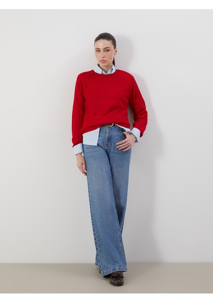 Yeni Sezon Bisiklet Yaka Çiçekli Kadın Triko Kazak fırsatları