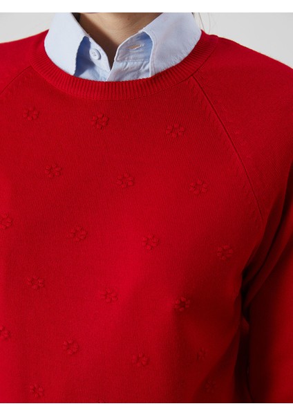 Yeni Sezon Bisiklet Yaka Çiçekli Kadın Triko Kazak indirimleri