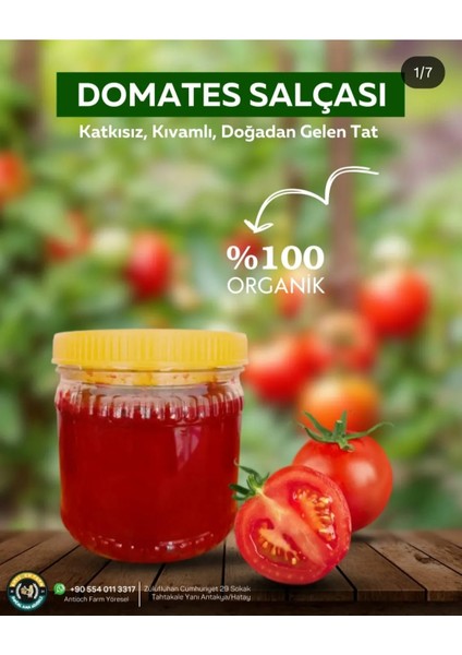 Domates Salcası