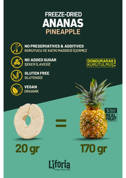 Freeze Dried Ince Dilim Ananas- Dondurularak Kurutulmuş Meyve-Freeze Dry Kuru MEYVE 20GR fırsatları
