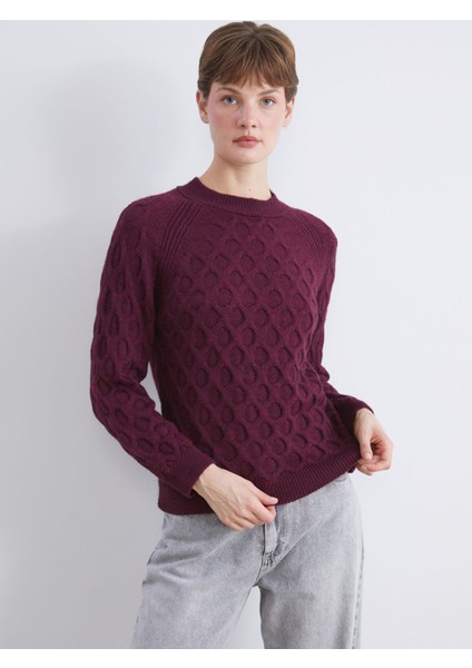 Yeni Sezon Bisiklet Yaka Kendinden Desenli Kadın Triko Kazak