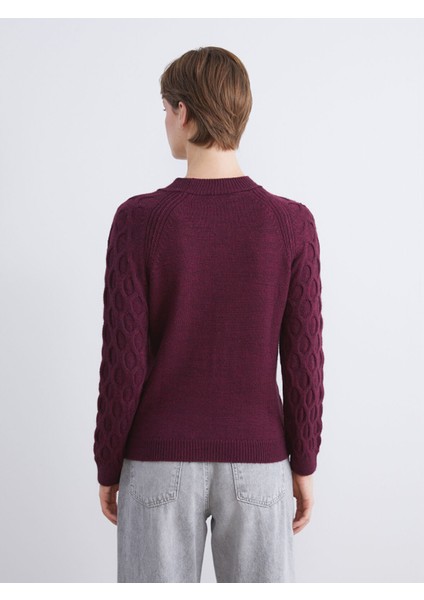 Yeni Sezon Bisiklet Yaka Kendinden Desenli Kadın Triko Kazak fırsatları