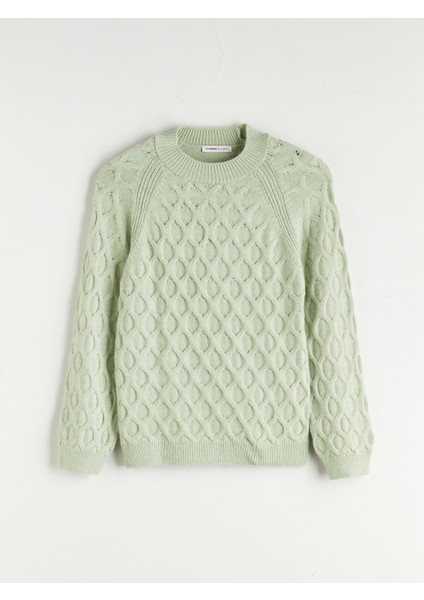 Yeni Sezon Bisiklet Yaka Kendinden Desenli Kadın Triko Kazak indirimleri