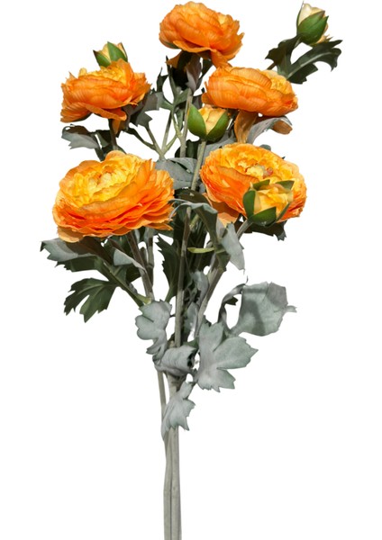 Turuncu Erengül Demeti 5'li