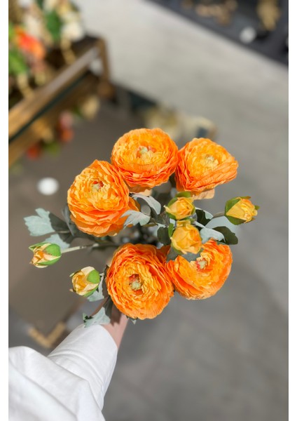 Turuncu Erengül Demeti 5'li fiyatları