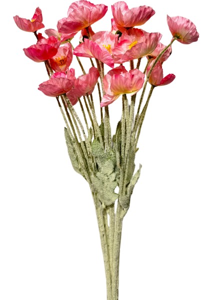 Pembe Gelincik Demeti 5'li