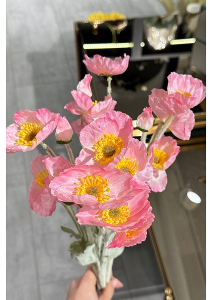 Pembe Gelincik Demeti 5'li modelleri