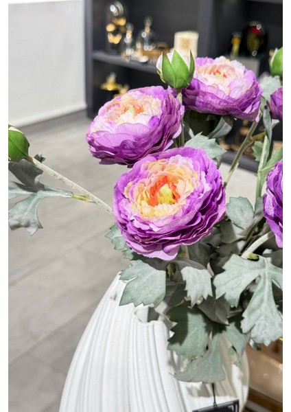 Mor Erengül Demeti 5'li indirimleri