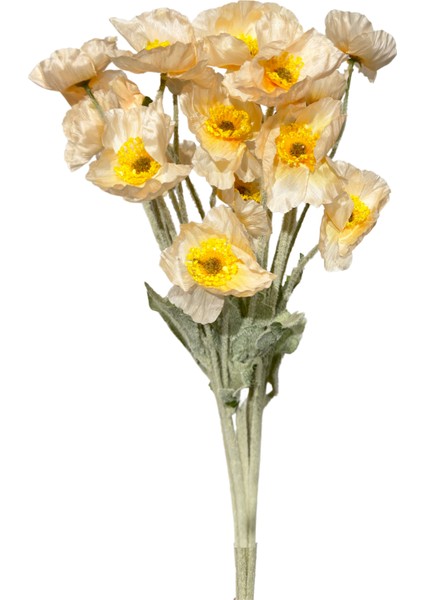 Sarı Gelincik Demeti 5'li