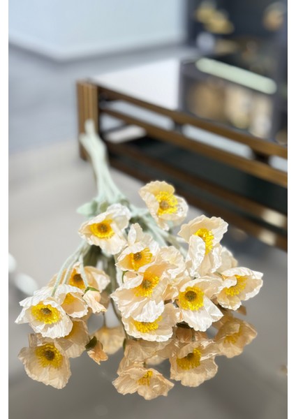 Sarı Gelincik Demeti 5'li fiyatları