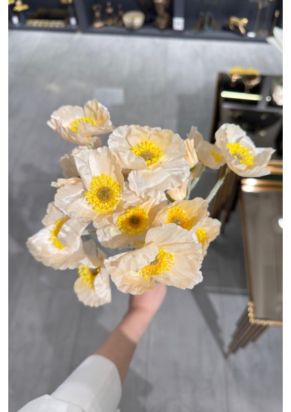 Sarı Gelincik Demeti 5'li modelleri