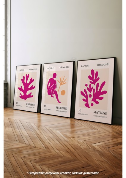 Matisse Modern 3'lü Siyah Çerçeveli Poster, Tablo Seti No:23 fırsatları