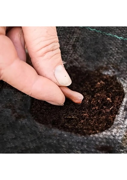 Yabani Ot Bariyer Matı fırsatları