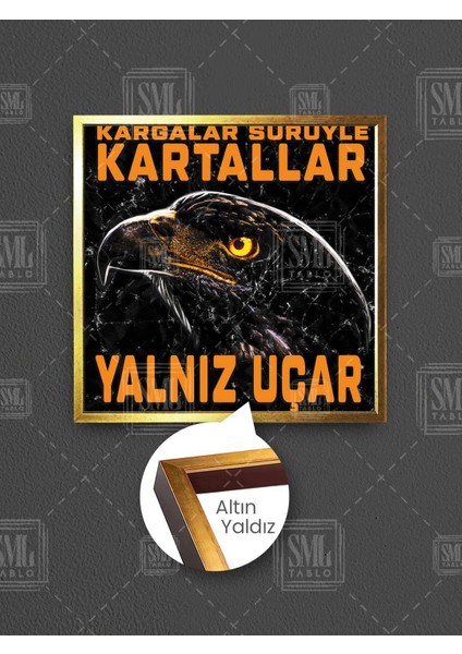 Kargalar Sürüyle Kartallar Yalnız Uçar Siyah Kartal Eagle Çerçeveli Kare Kanvas Tablo
