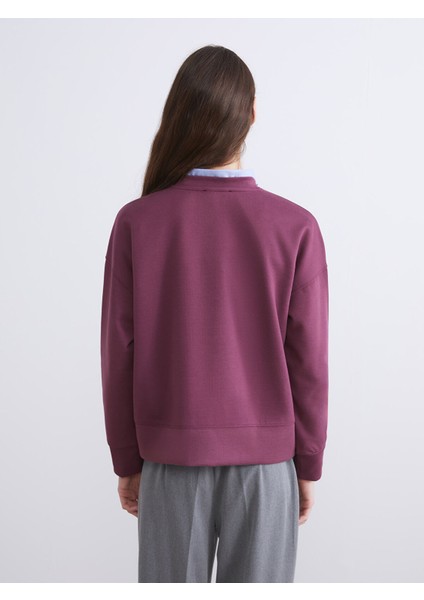 Yeni Sezon Bisiklet Yaka Kadın Sweatshirt fırsatları