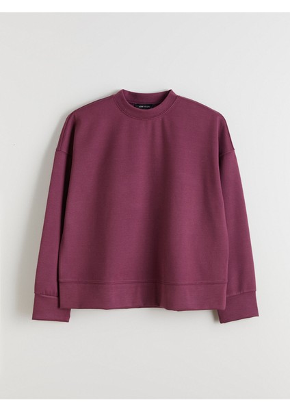 Yeni Sezon Bisiklet Yaka Kadın Sweatshirt indirimleri