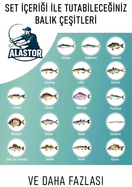 Mükemmel Deniz ve Göl Olta Seti 100-250GR Atarlı Sazan Olta Seti Olta Takımı fırsatları