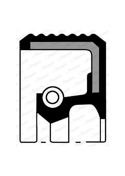 Aks Keçesi Sağ Ducato-Boxer-Jumper 15 Jant 32X50X10