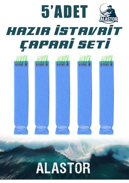 Hazır 5'li Çapari Seti 10 Iğneli Istavrit Köpük Çapari Olta Iğnesi