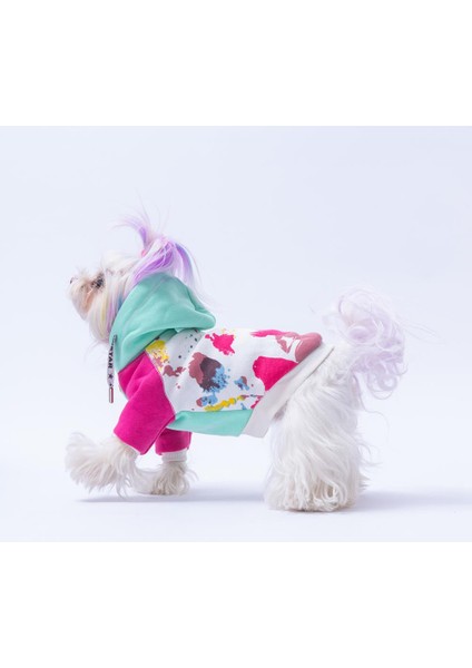 Mint Rio Köpek Hoodie Köpek Sweat Köpek Kıyafeti Kedi Kıyafeti fırsatları