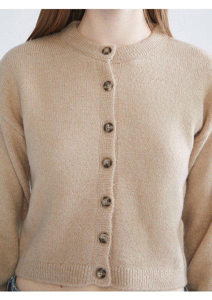 Yeni Sezon Bisiklet Yaka Kadın Triko Hırka modelleri